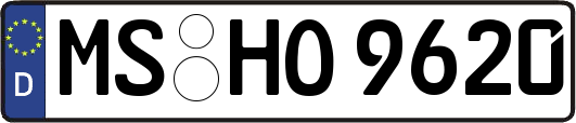 MS-HO9620
