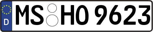 MS-HO9623