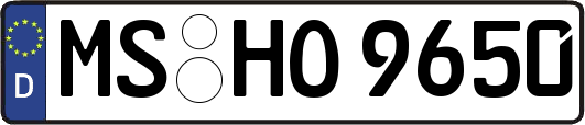 MS-HO9650
