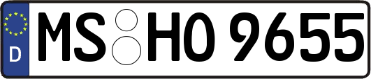 MS-HO9655