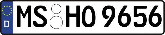 MS-HO9656