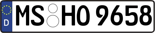 MS-HO9658
