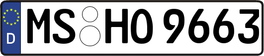 MS-HO9663
