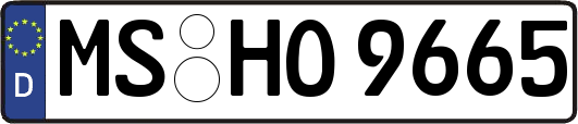 MS-HO9665