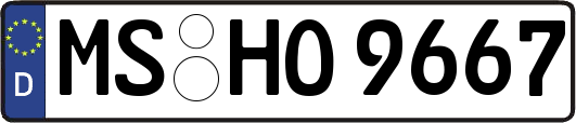 MS-HO9667