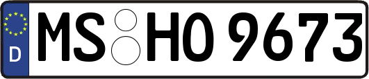 MS-HO9673