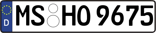 MS-HO9675