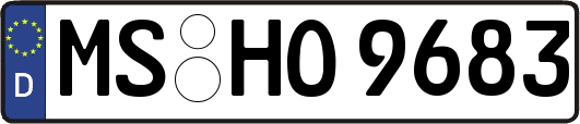 MS-HO9683
