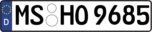 MS-HO9685
