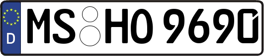 MS-HO9690