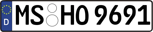 MS-HO9691