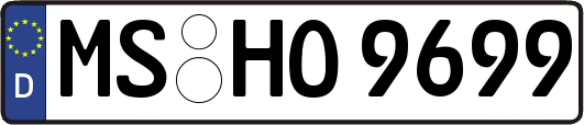 MS-HO9699