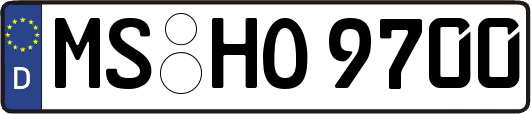 MS-HO9700