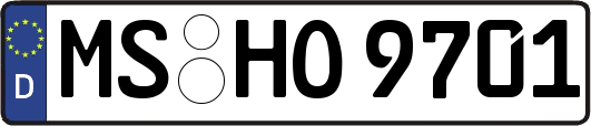 MS-HO9701