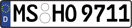 MS-HO9711