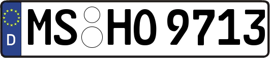 MS-HO9713