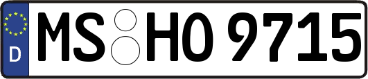 MS-HO9715