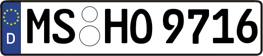MS-HO9716
