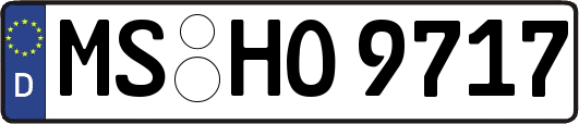 MS-HO9717