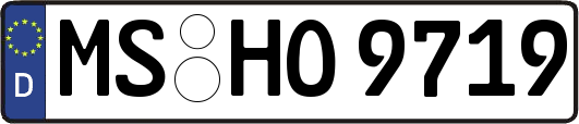 MS-HO9719