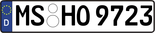 MS-HO9723
