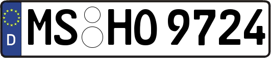 MS-HO9724