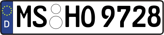MS-HO9728