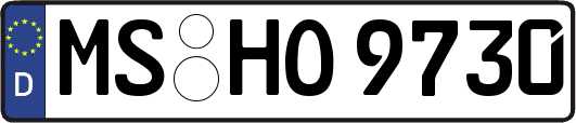 MS-HO9730