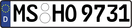 MS-HO9731