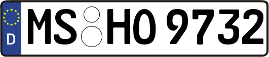 MS-HO9732