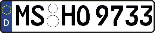 MS-HO9733