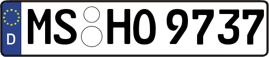 MS-HO9737