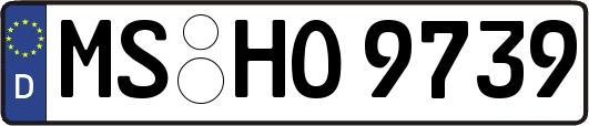 MS-HO9739