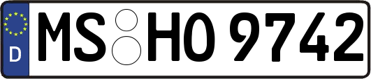 MS-HO9742