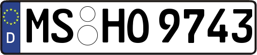 MS-HO9743