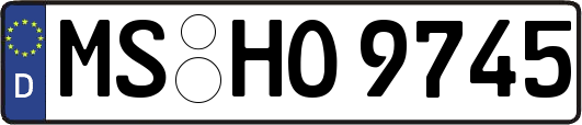 MS-HO9745