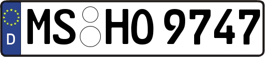 MS-HO9747