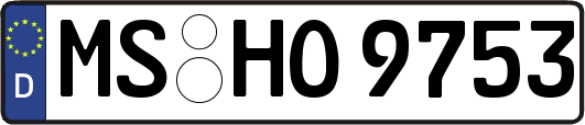 MS-HO9753