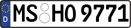 MS-HO9771