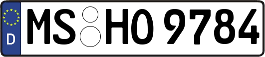 MS-HO9784