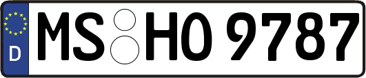 MS-HO9787