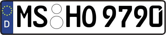 MS-HO9790