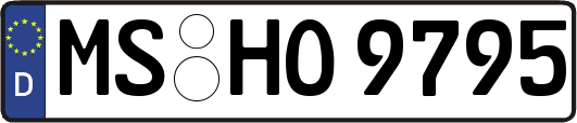 MS-HO9795