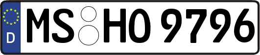 MS-HO9796