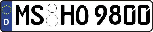 MS-HO9800