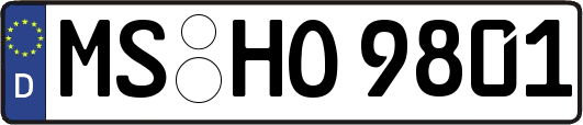 MS-HO9801