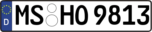 MS-HO9813