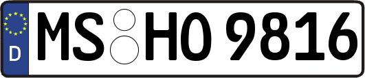 MS-HO9816