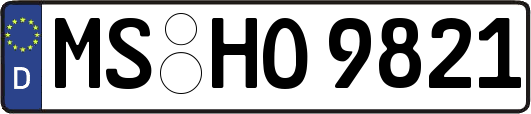 MS-HO9821