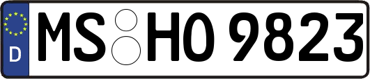 MS-HO9823